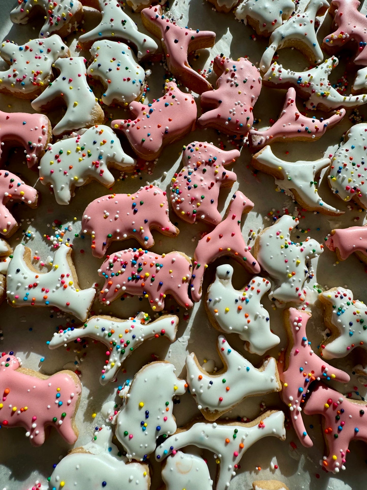 Animal Cracker Cookie Box