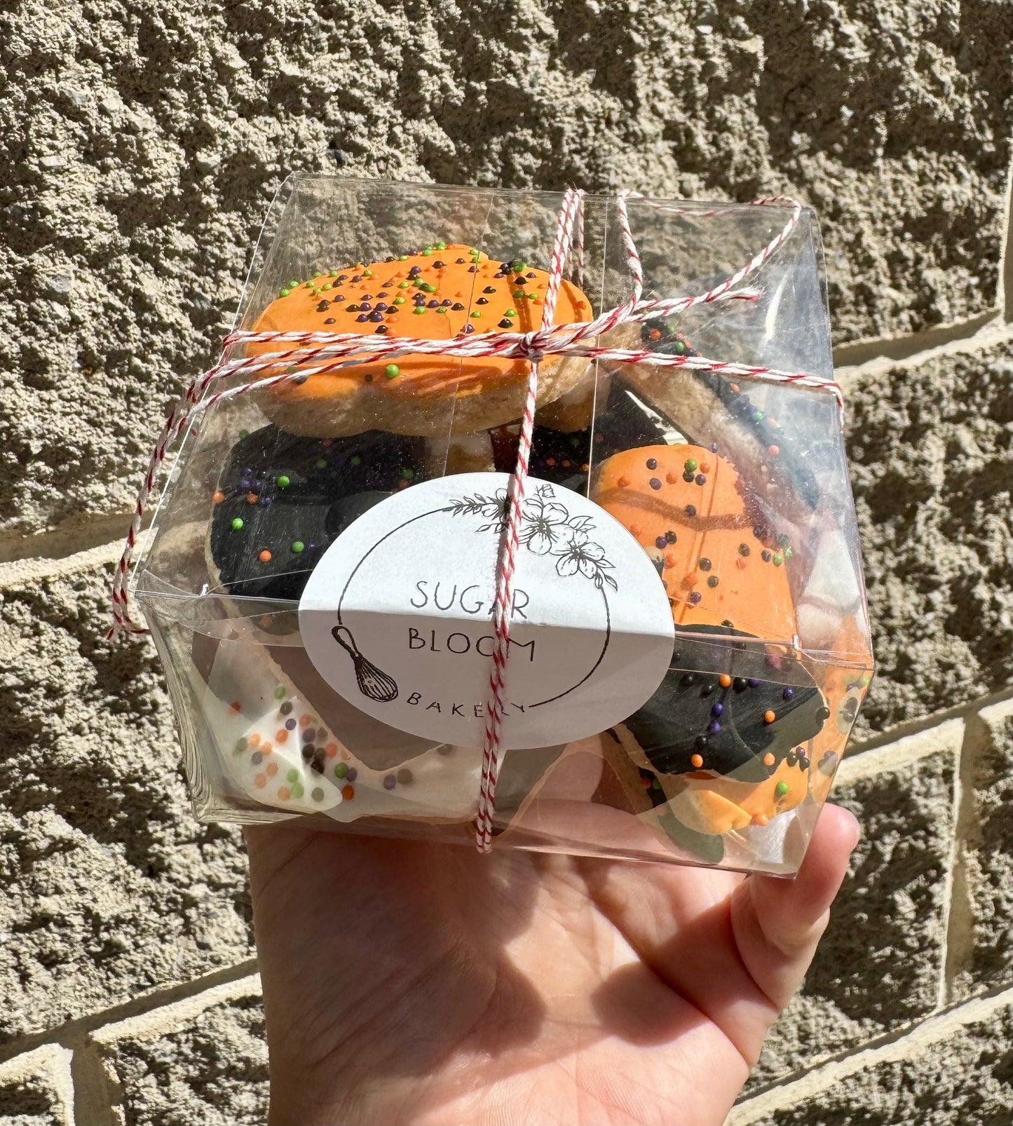 Animal Cracker Cookie Box