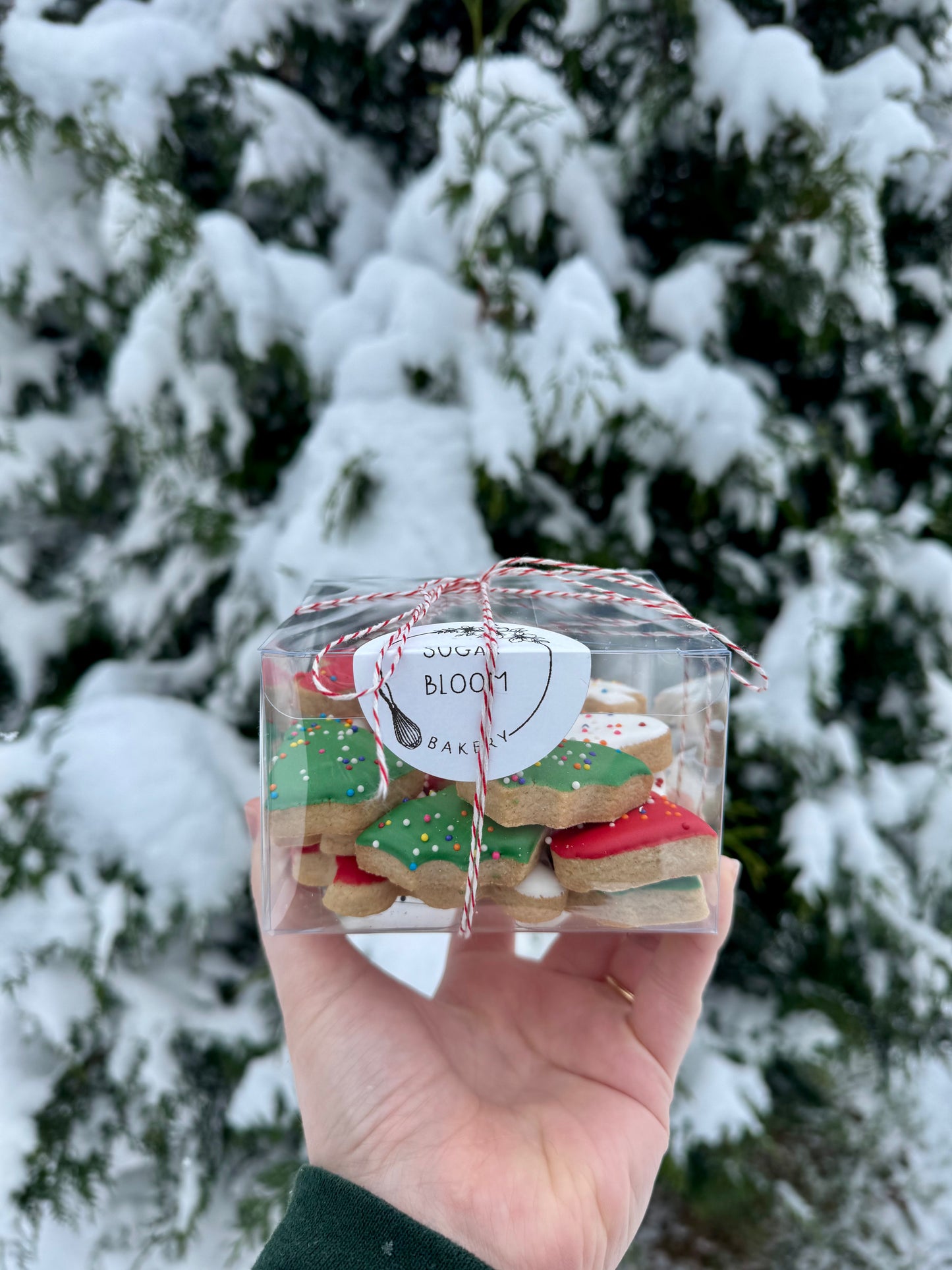 Christmas Animal Cracker Cookie Box