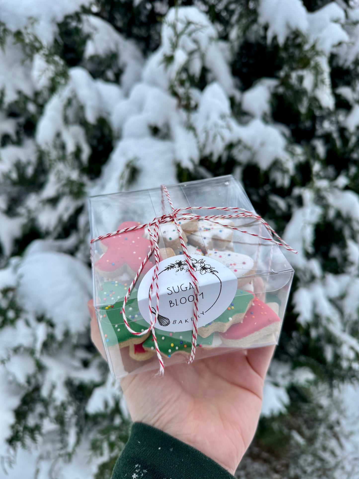 Christmas Animal Cracker Cookie Box
